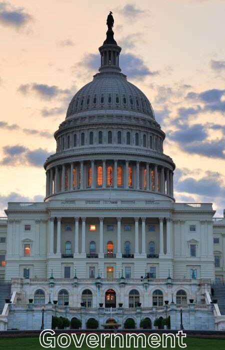 Government